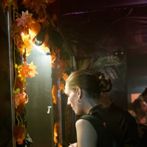 11-01 - DISCO BLOODBATH 202531