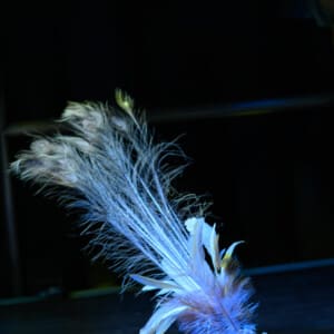 Mayhem Renaissance Ball Nov25-39